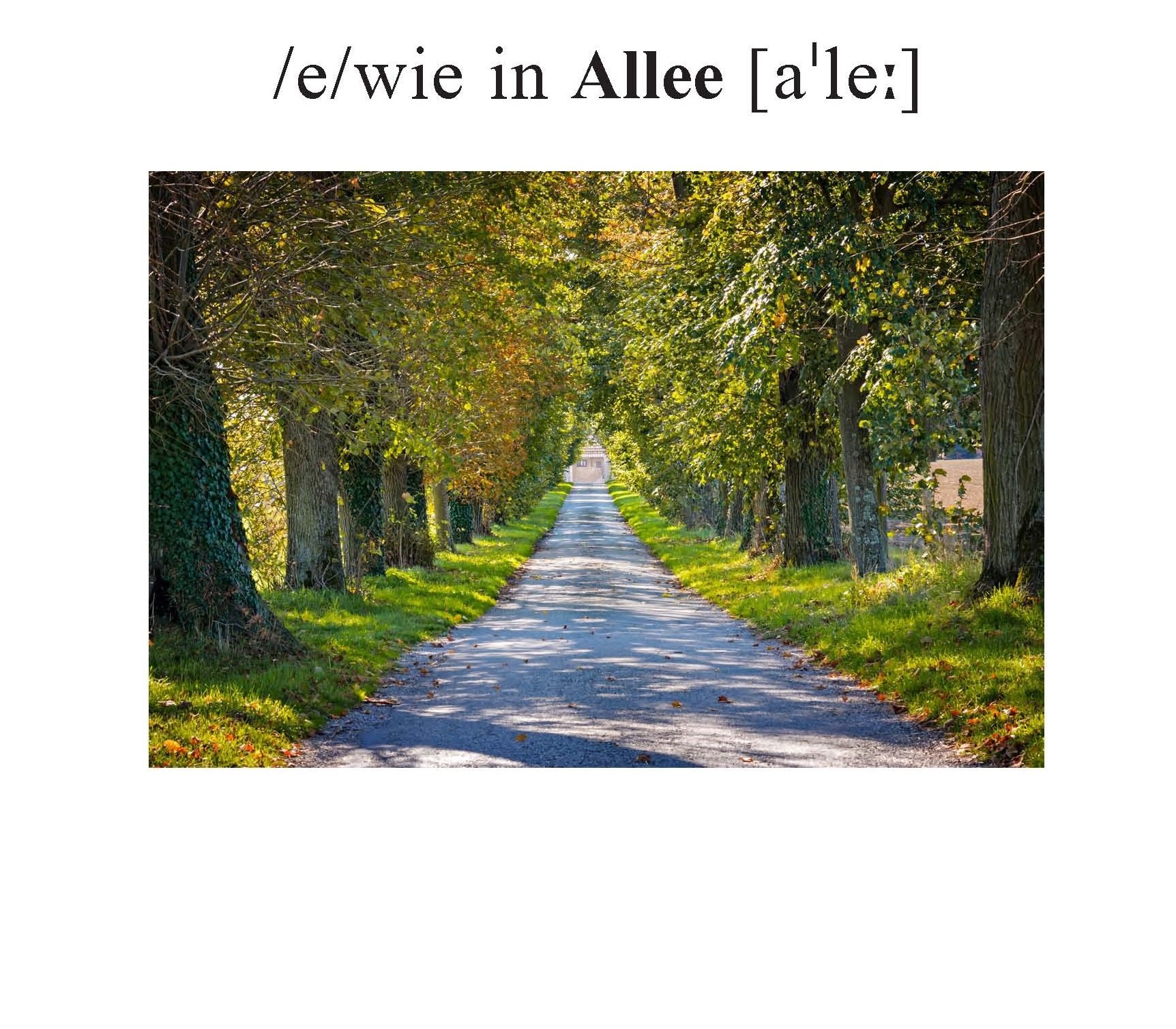 Allee