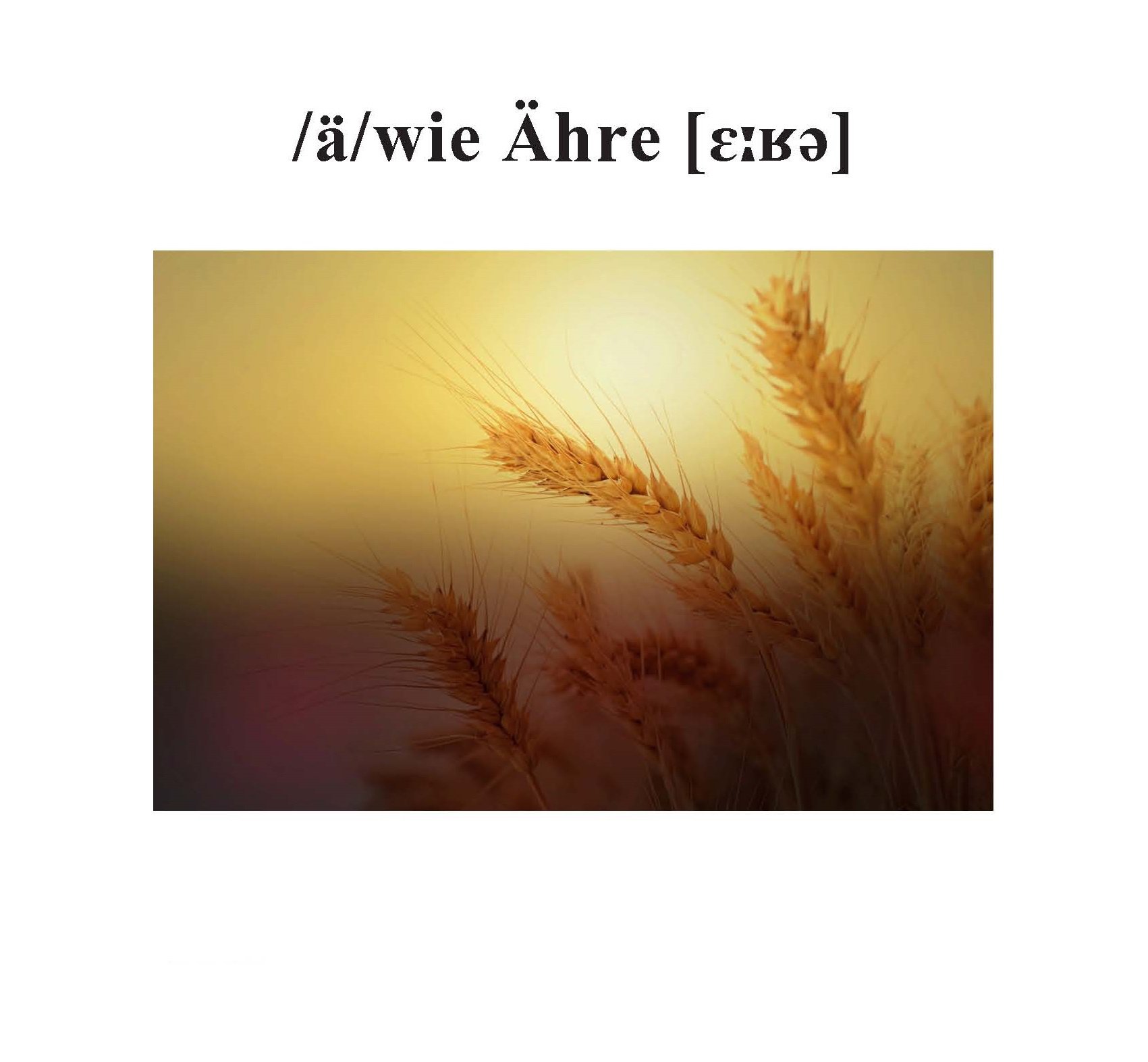 Ähre
